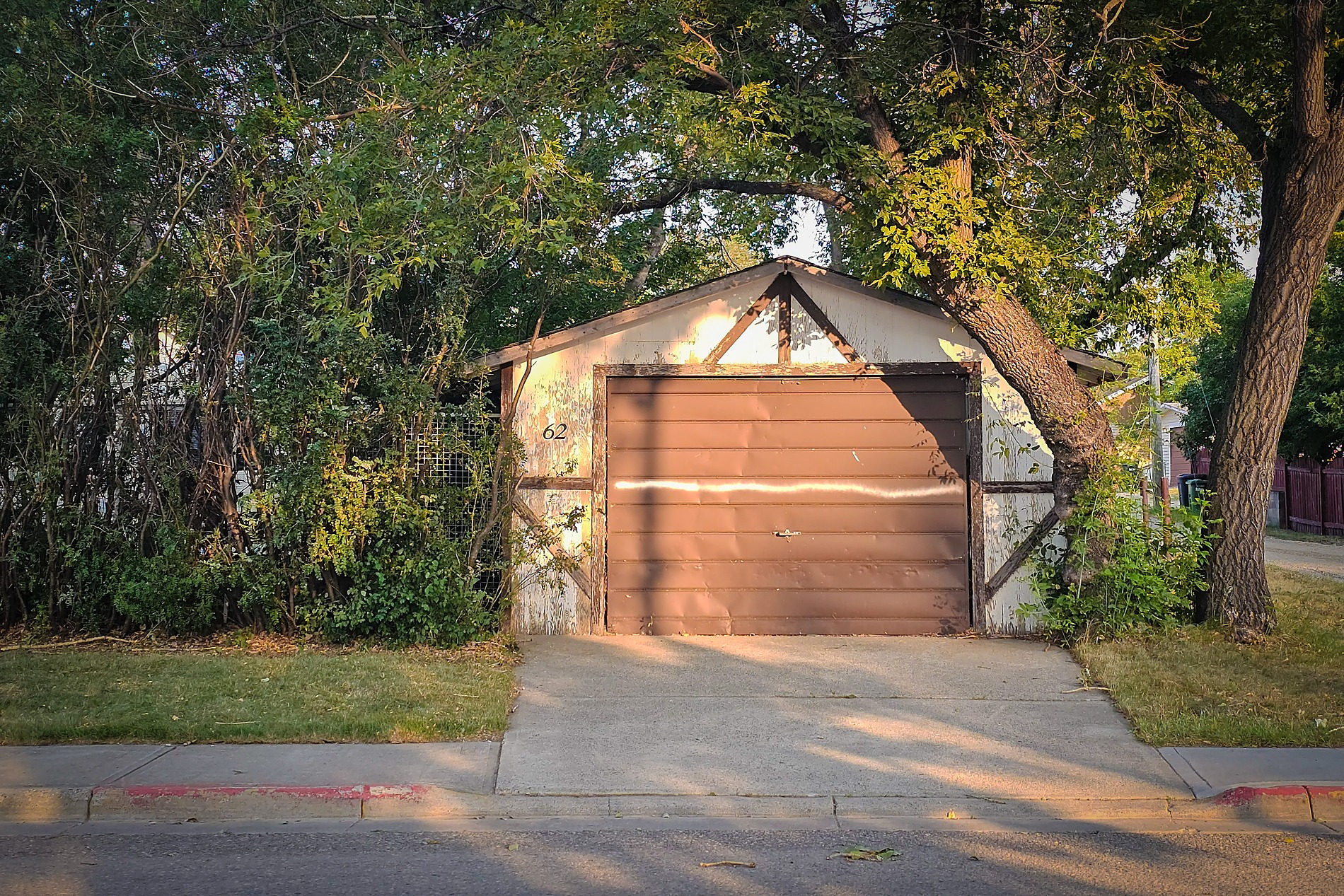 A front-facing view of a white stucco garage with decorative dark timber trim and a closed brown garage door. Mature green trees flank and overhang the structure, casting shadows across the concrete driveway in the foreground.